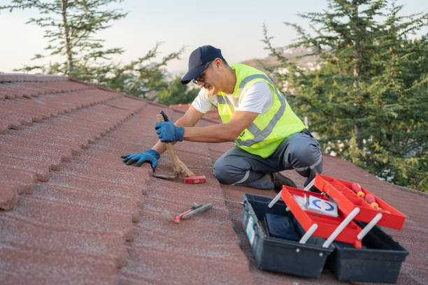 Best Metal Roofing Contractor  in Laguna Heights, TX