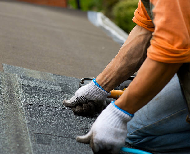 Gutter Installation and Roofing in Laguna Heights, TX