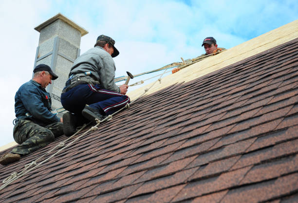 Best Commercial Roofing Services  in Laguna Heights, TX